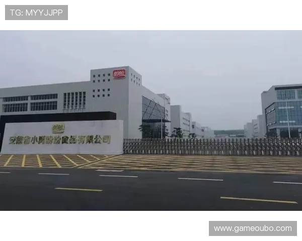 欧博集团的核心竞争力分析及其在行业中的领先地位